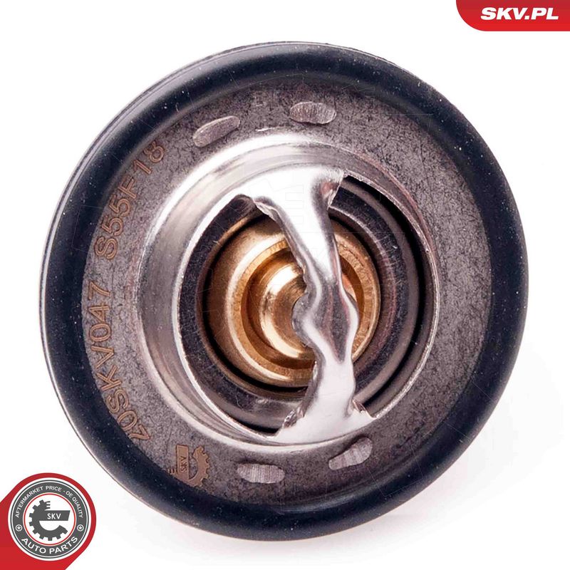 Termostaat, Jahutusvedelik, ESEN SKV 20SKV047