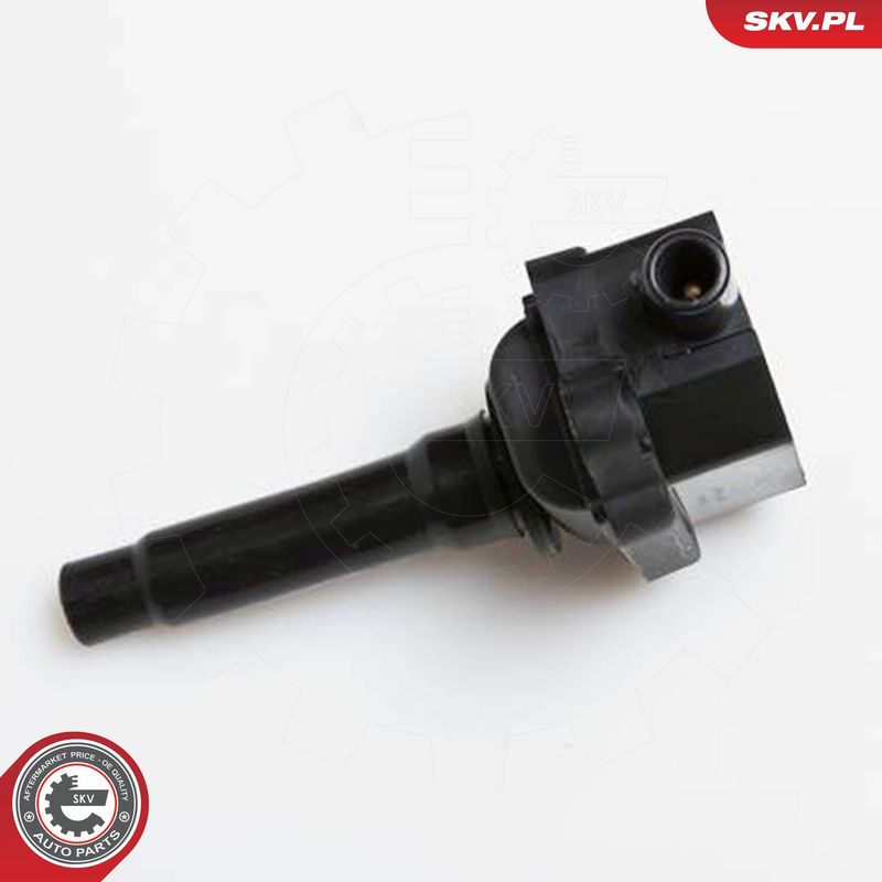 ESEN SKV 03SKV149 Ignition Coil