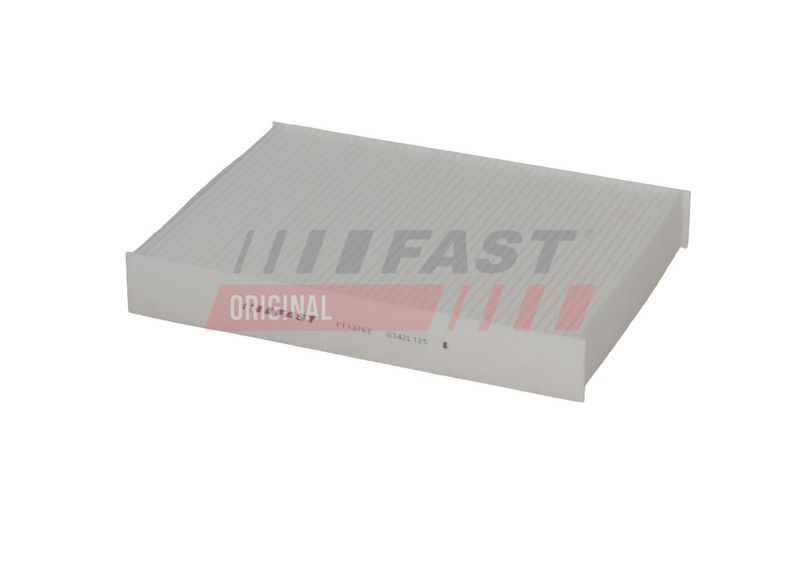 FAST Filtras, salono oras