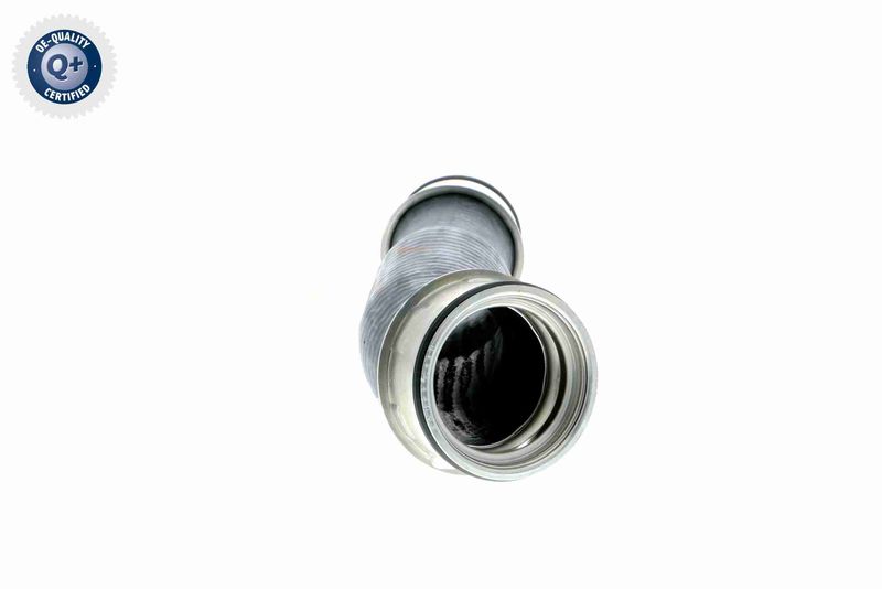 VAICO V10-2896 Charge Air Hose