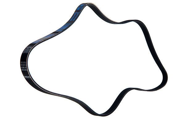 STELLOX 95-01334-SX V-ribbed Belt