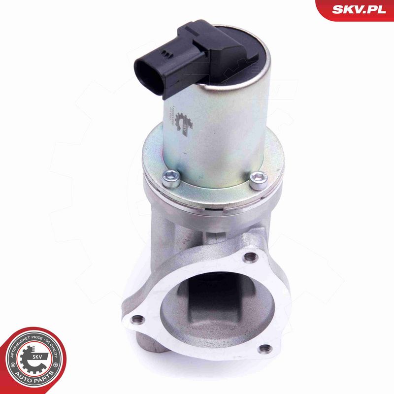 ESEN SKV 14SKV209 EGR Valve