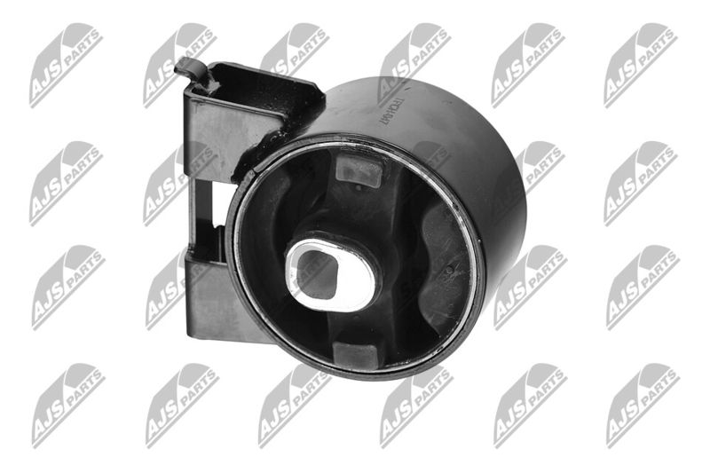 Paigutus, Mootor, NTY ZPS-CH-047