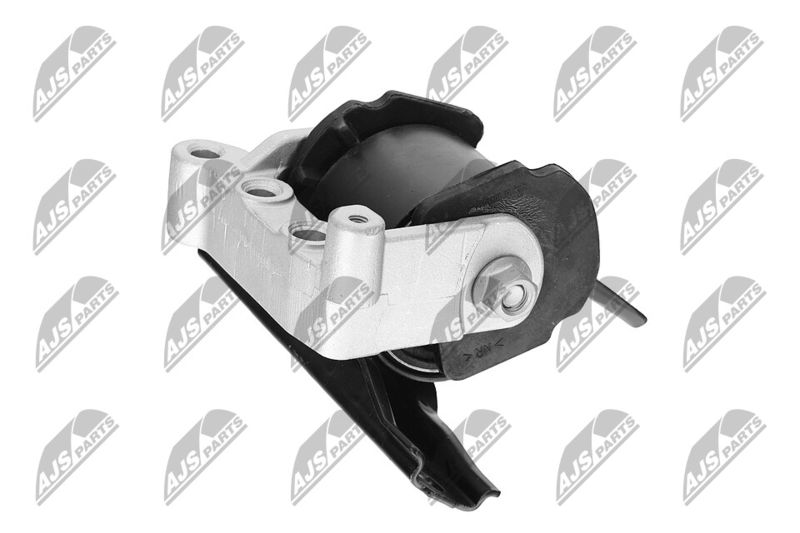 Paigutus, Mootor, NTY ZPS-CH-071