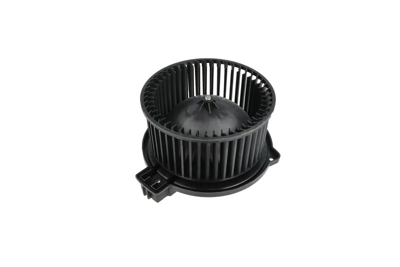 Salongipuhur, NRF 34331