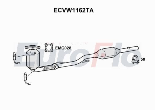 ecvw1162ta.JPG