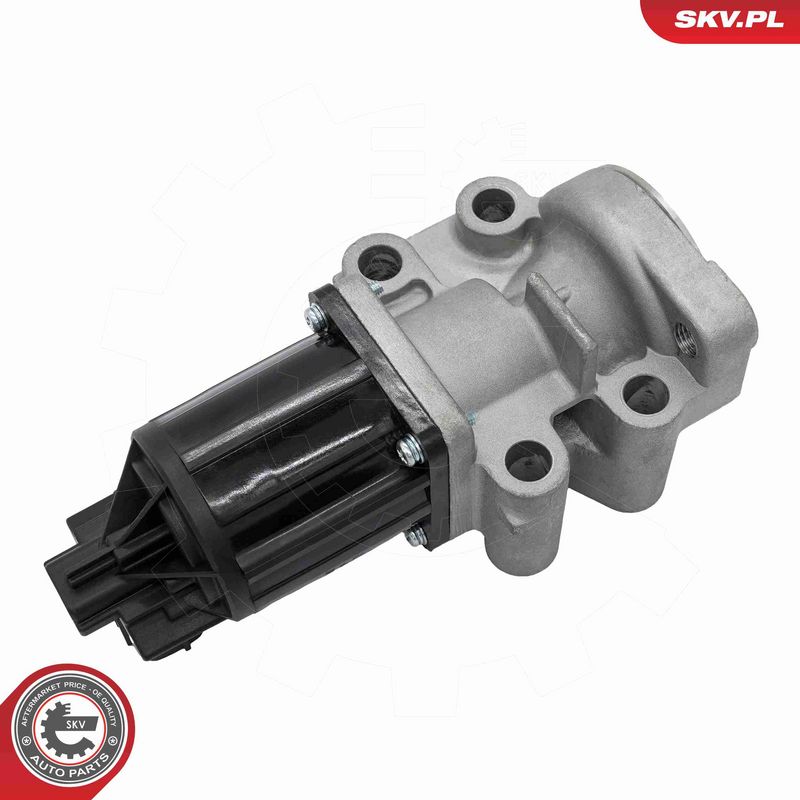 ESEN SKV 14SKV300 EGR Valve