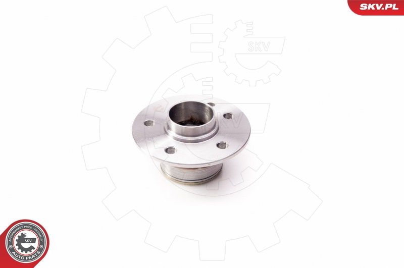 ESEN SKV 29SKV074 Wheel Bearing Kit