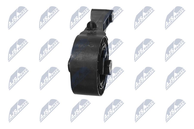 Paigutus, Mootor, NTY ZPS-PL-047