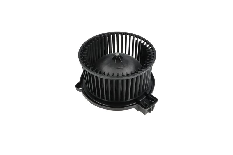 Salongipuhur, NRF 34331