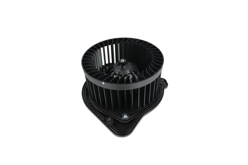 Salongipuhur, NRF 34136