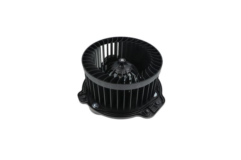 Salongipuhur, NRF 34136