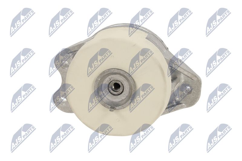 Paigutus, Mootor, NTY ZPS-ME-079