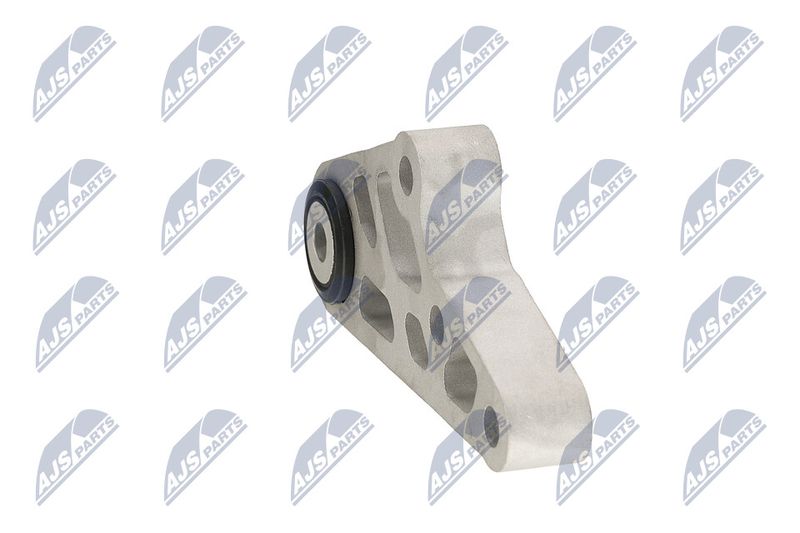 Paigutus, Mootor, NTY ZPS-CH-119