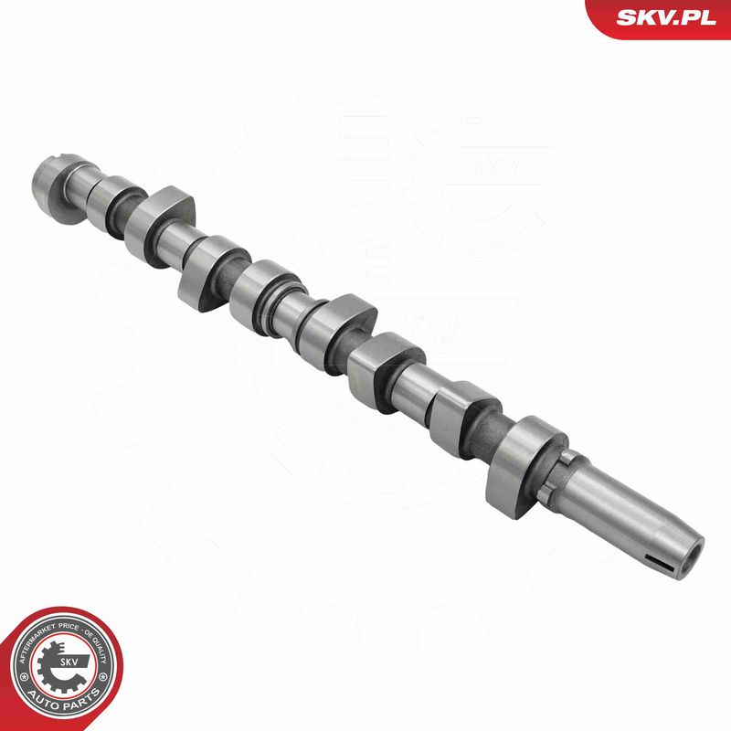 ESEN SKV 80SKV059 Camshaft