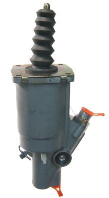 SV1003.JPG