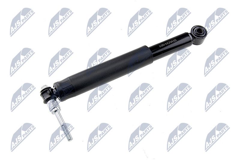 Rooliamort, NTY ACH-001