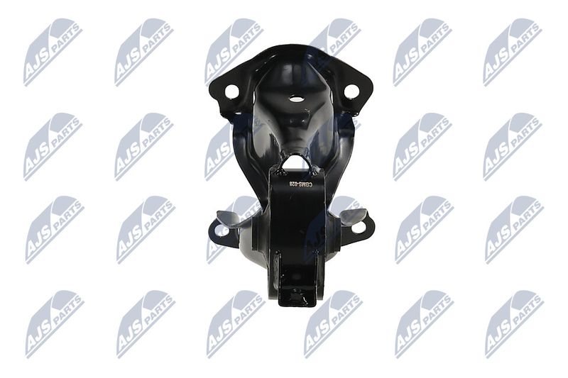 Paigutus, Mootor, NTY ZPS-MS-028
