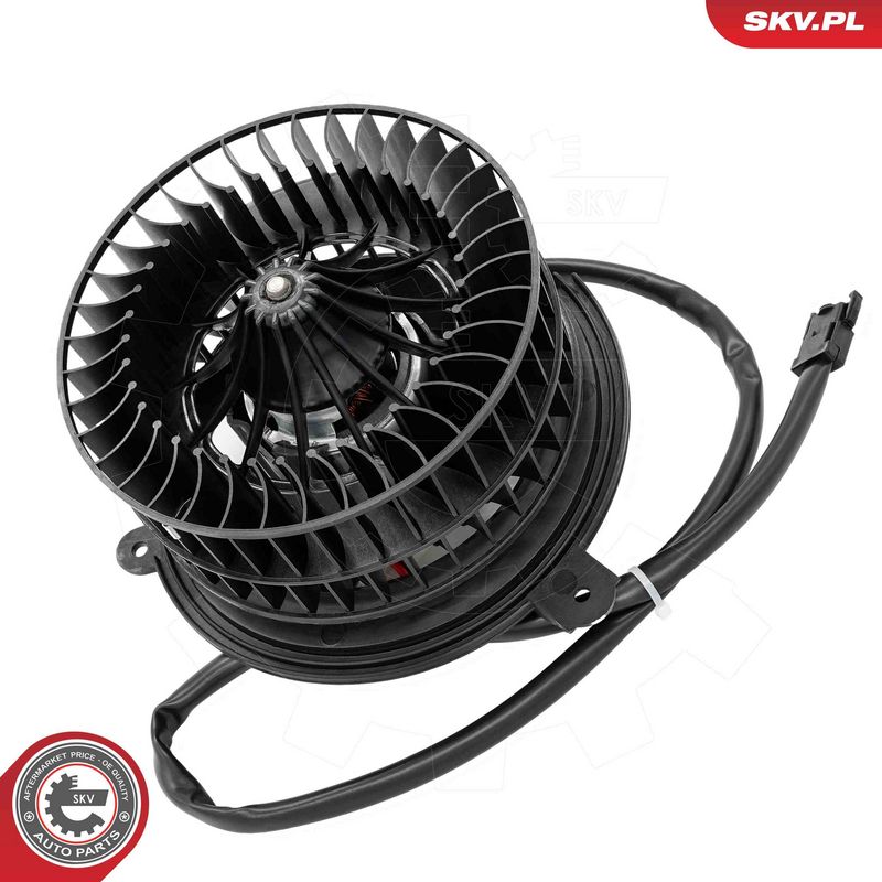 Salongipuhur, ESEN SKV...