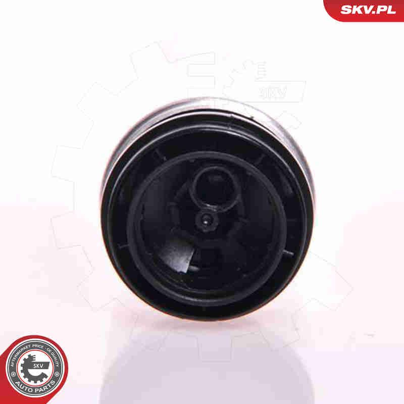 ESEN SKV 02SKV267 Fuel Pump