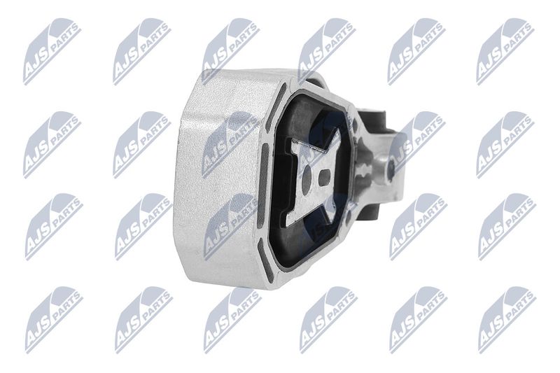 Paigutus, Mootor, NTY ZPS-ME-058