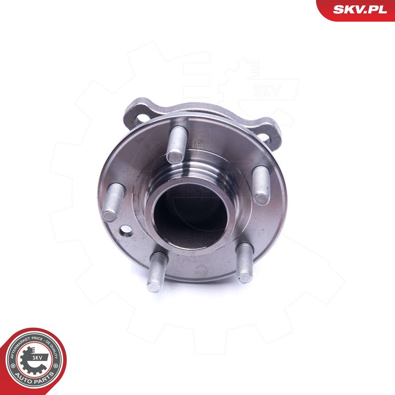 Rattalaagrikomplekt, ESEN SKV 29SKV251