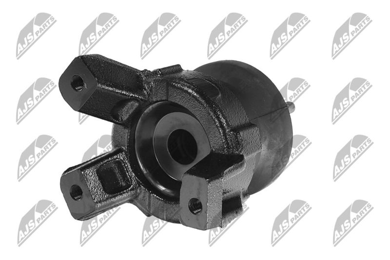 Paigutus, Mootor, NTY ZPS-HY-565