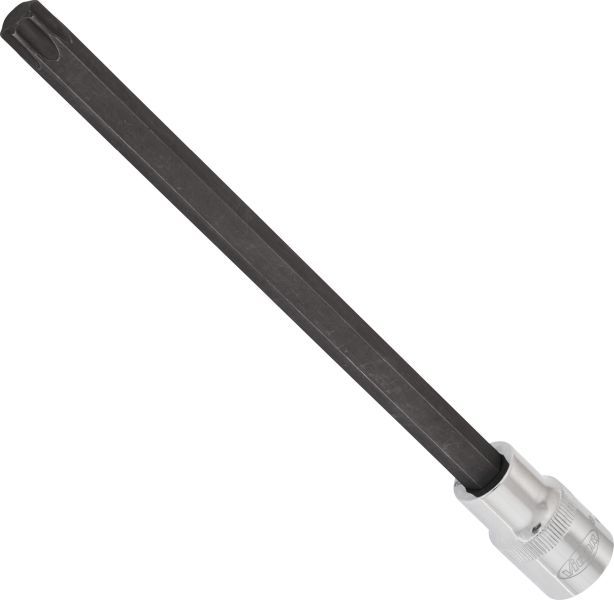 Padrun, VIGOR V2182