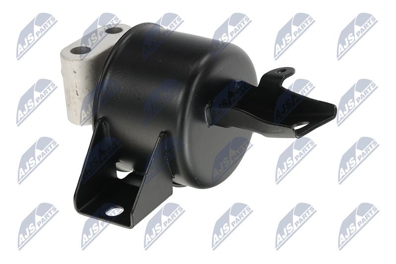 Paigutus, Mootor, NTY ZPS-DW-010