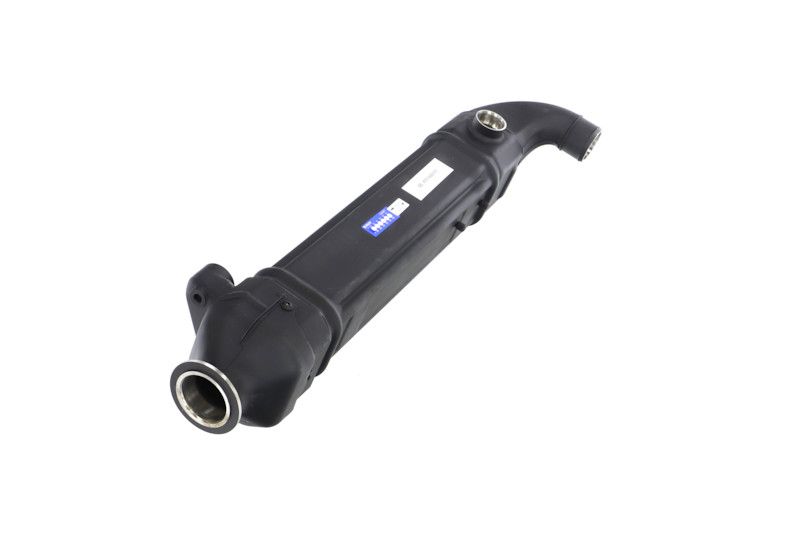 REMANTE 010-001-000025R EGR Module