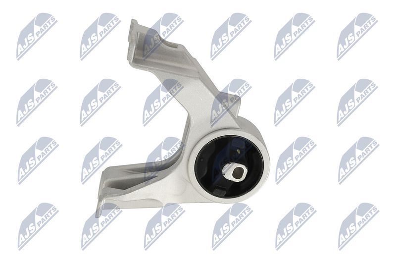 Paigutus, Mootor, NTY ZPS-CH-105