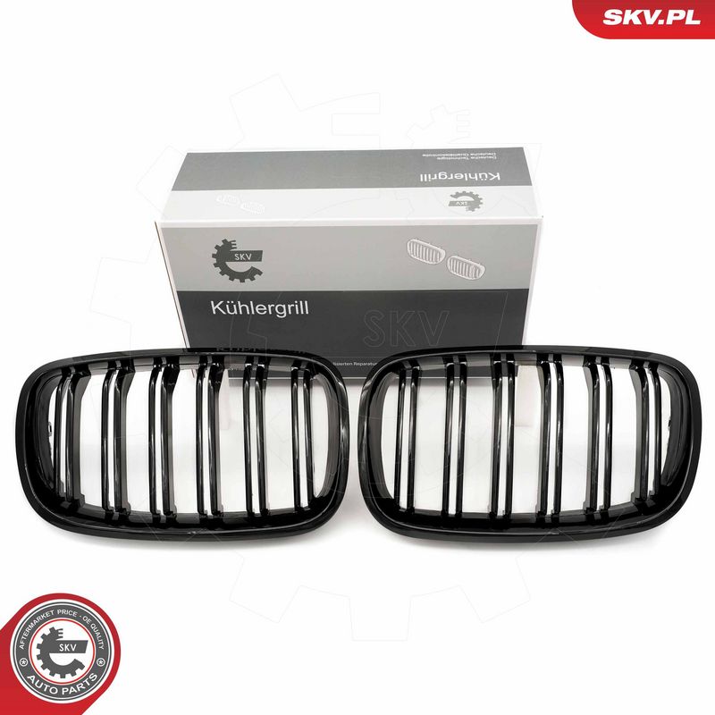 Radiaatorivõre, ESEN SKV 66SKV287