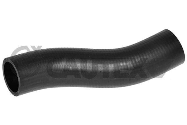 CAUTEX 754203 - Radiator Hose