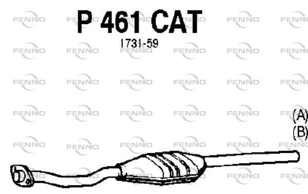 P461CAT.JPG