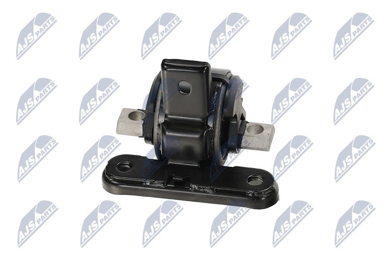 Paigutus, Mootor, NTY ZPS-CH-136