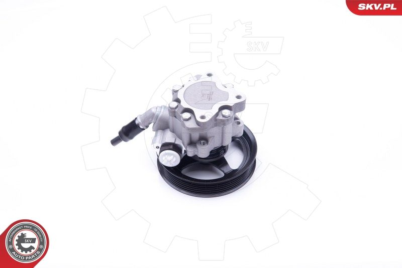 ESEN SKV 10SKV266 Hydraulic Pump, steering
