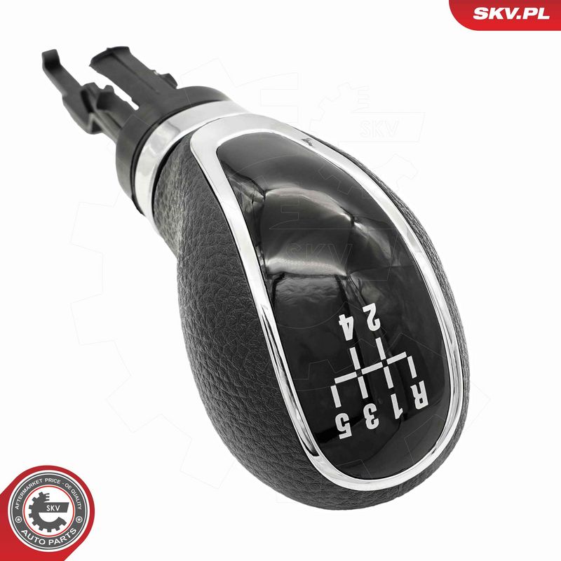 Käigukanginupp, ESEN SKV 63SKV181