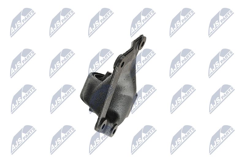 Paigutus, Mootor, NTY ZPS-CH-004