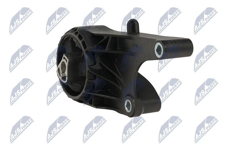 Paigutus, Mootor, NTY ZPS-PL-058