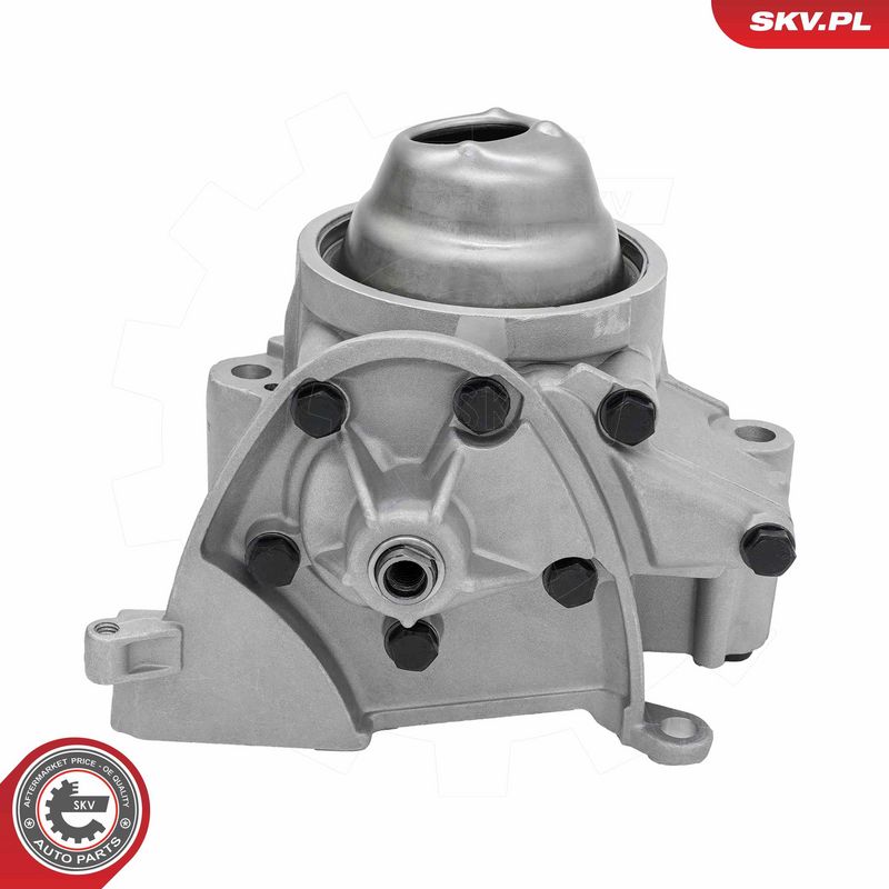 Õlipump, ESEN SKV 77SKV050