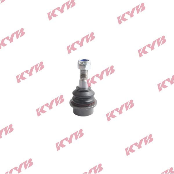 KYB-KBJ4443.JPG