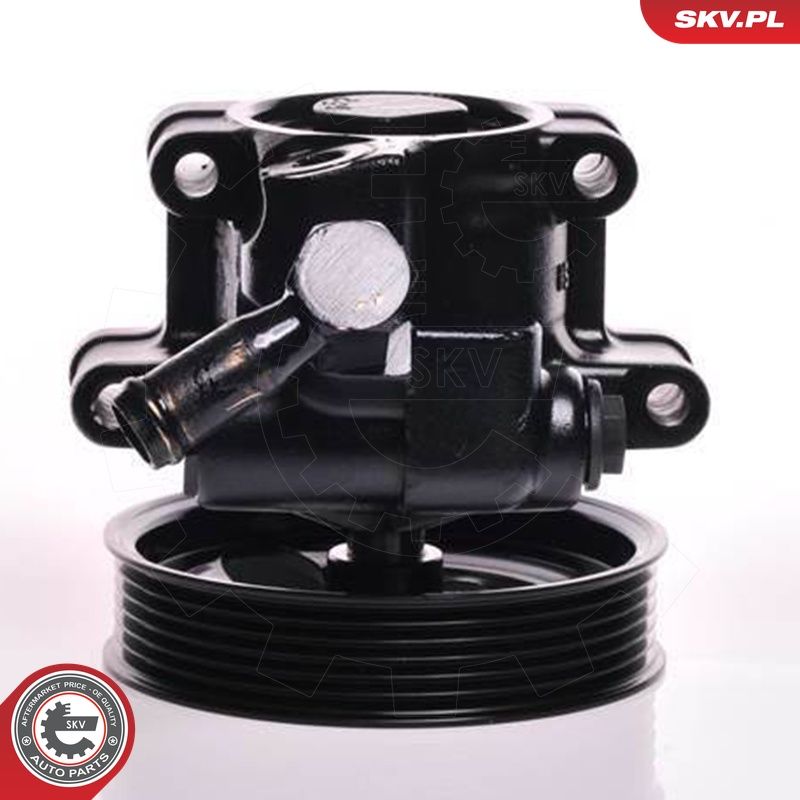 Hüdraulikapump, roolimine, ESEN SKV 10SKV150