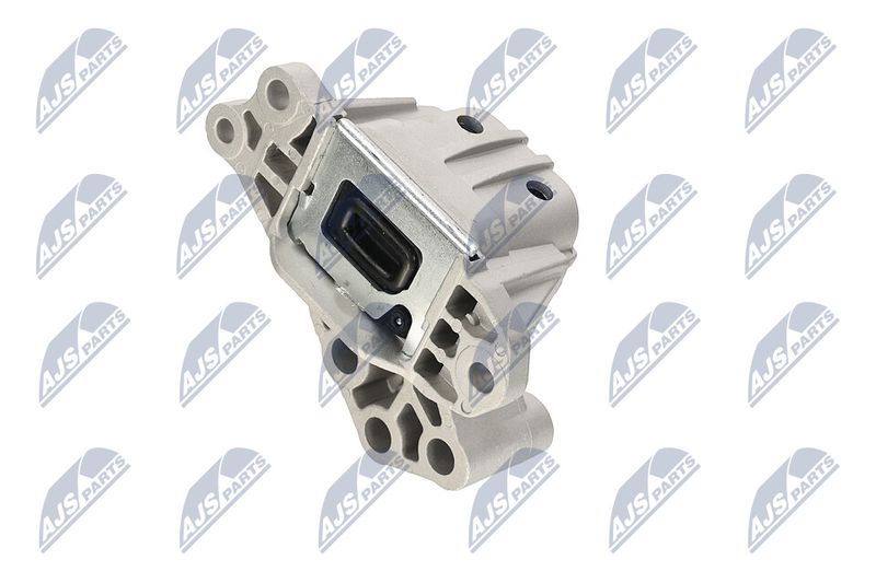 Paigutus, Mootor, NTY ZPS-CH-133