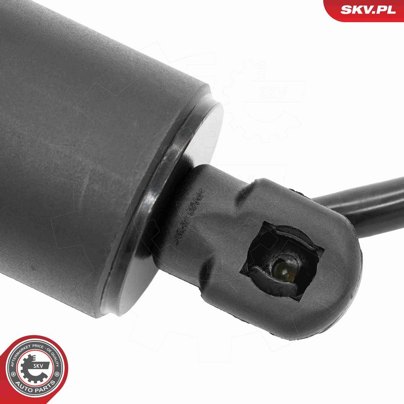 ESEN SKV 52SKV173 Electric Motor, tailgate