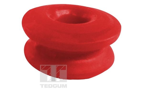 TEDGUM 01018920 Mounting, control/trailing arm
