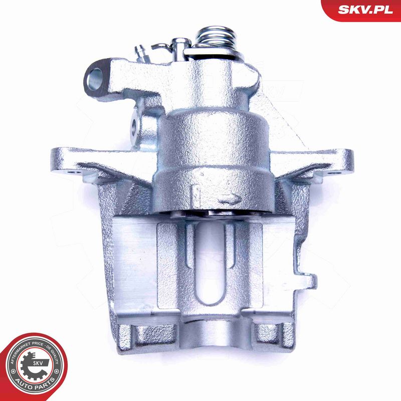 ESEN SKV 42SKV911 Brake Caliper