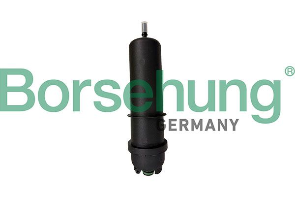Borsehung Kuro filtras