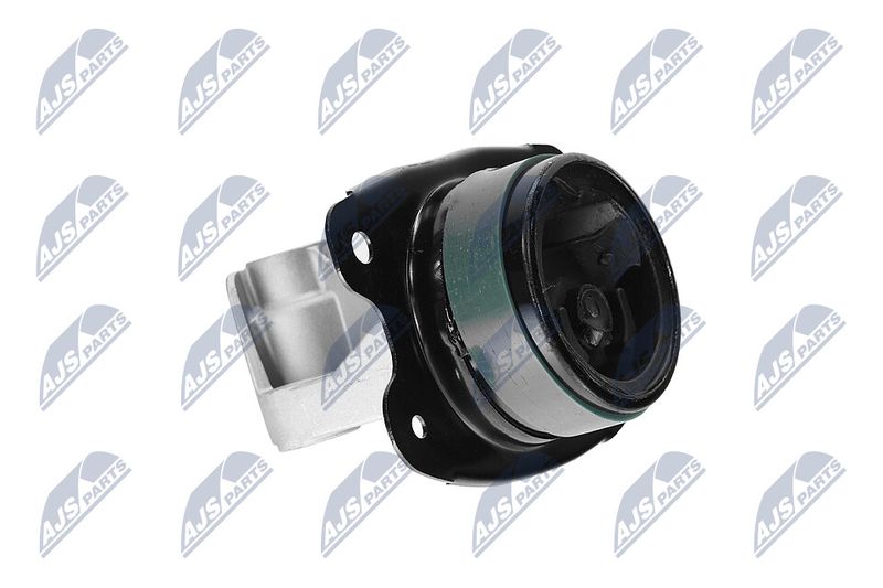 Paigutus, Mootor, NTY ZPS-CH-147