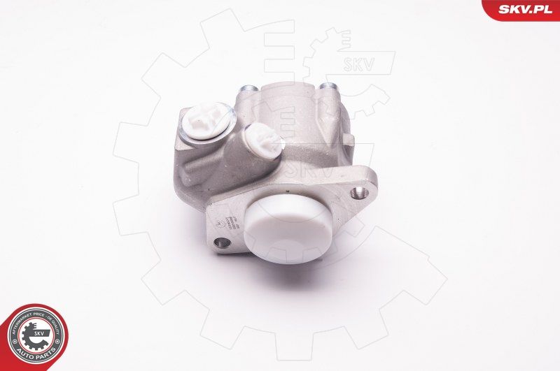ESEN SKV 1SKV0006 Hydraulic Pump, steering
