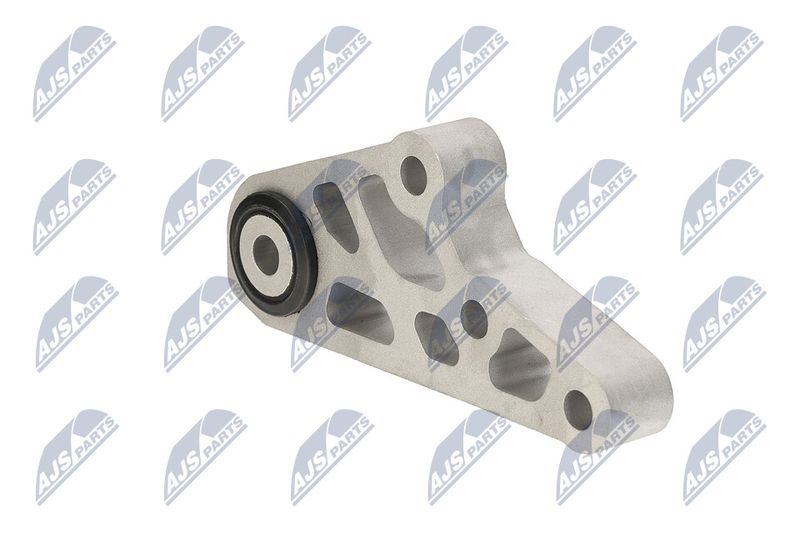 Paigutus, Mootor, NTY ZPS-CH-119